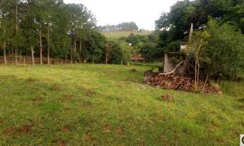 Imagem 3: Chácara escriturada 5000 m²