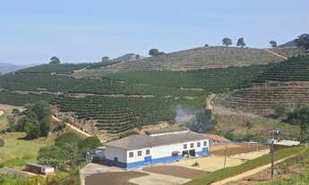 Imagem: Fazenda de café
