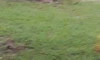 Imagem: Chácara na represa