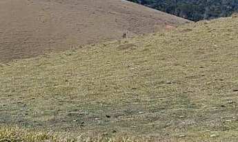 Imagem: Área Rural em Jambeiro