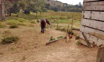 Imagem 4: Sítio 21 alqueires Paraibuna