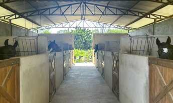 Imagem 4: Haras lindão em Lagoinha