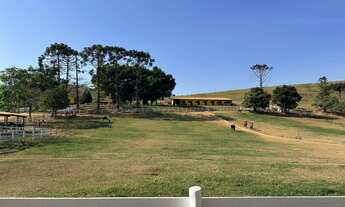 Imagem 1: Haras lindão em Lagoinha