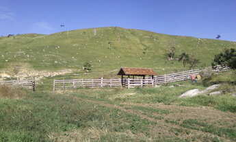 Imagem: Fazenda com 54 alqueires