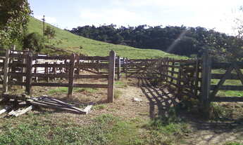 Imagem 2: Fazenda com 54 alqueires