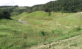 Imagem 5: Fazenda com 54 alqueires