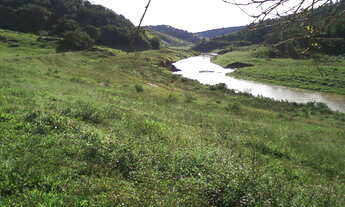 Imagem 4: Fazenda com 54 alqueires