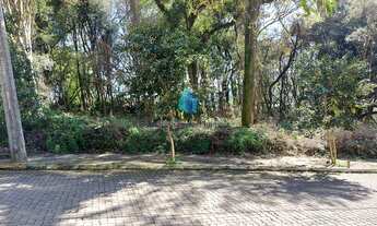 Imagem: Terreno à venda no bairro Borgo - Bento