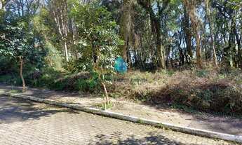 Imagem 3: Terreno à venda no bairro Borgo - Bento Gonçalves/RS