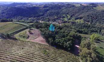 Imagem: Área à venda no bairro Linha Palmeiro