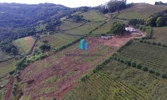 Imagem: Área à venda no bairro Linha Pederneira