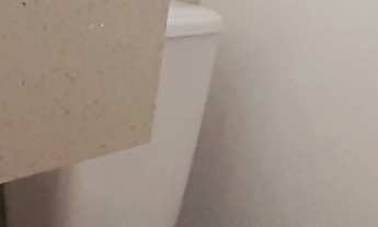 Imagem 6: Apartamento Vila Mariana Venda