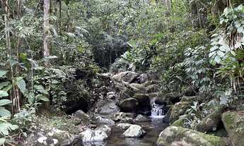 Imagem 3: Chácara com frente para cachoeira