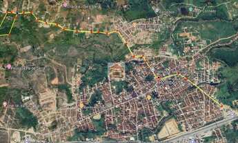 Imagem 6: VENDO CHÁCARA EM POMBOS COM 3 HECTARES