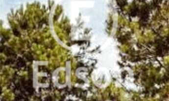 Imagem: Sítio em Condomínio Pagará Country