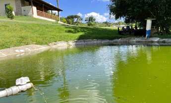 Imagem: Sítio lindo na parada 111 em Taquara.RS