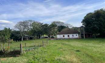 Imagem 3: 60 HECTARES EM TAQUARA/RS COM ÓTIMAS INSTALAÇÕES