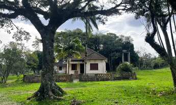 Imagem 2: 60 HECTARES EM TAQUARA/RS COM ÓTIMAS INSTALAÇÕES