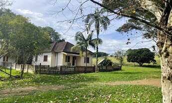 Imagem 5: 60 HECTARES EM TAQUARA/RS COM ÓTIMAS INSTALAÇÕES