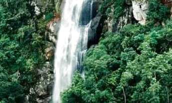 Imagem: Sítio à venda no bairro Forqueta - Caxias