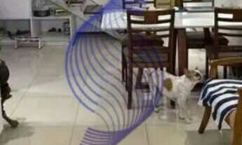 Imagem: VENDO COBERTURA 136 M² 03 QUARTOS EDIFÍCIO