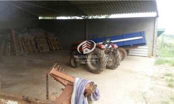 Imagem 6: SÍTIO COM 8 GRANJAS/ RENDIMENTO DE R$ 140.000,00, LÍQUIDO/ CRIADA