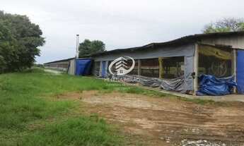 Imagem 3: SÍTIO COM 8 GRANJAS/ RENDIMENTO DE R$ 140.000,00, LÍQUIDO/ CRIADA