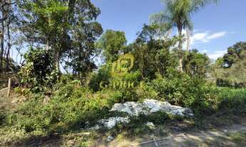 Imagem 7: Excelente Terreno Inteiro em Região tranquila Apenas 450 mts do Mar