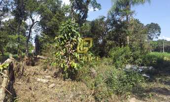 Imagem 6: Excelente Terreno Inteiro em Região tranquila Apenas 450 mts do Mar