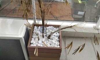 Imagem 4: Sala Comercial em Aclimação, São Paulo/SP