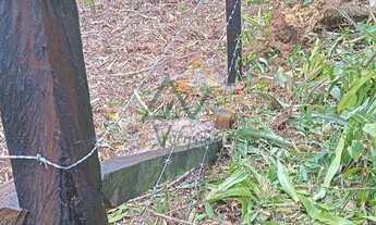 Imagem 7: Terreno à venda Pontal do Norte Itapoá SC