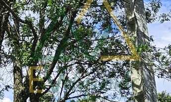 Imagem 6: Terreno à venda Centro Rebouças PR