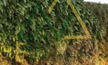 Imagem 5: Apartamento Alto Padrão à venda Juvevê Curitiba PR