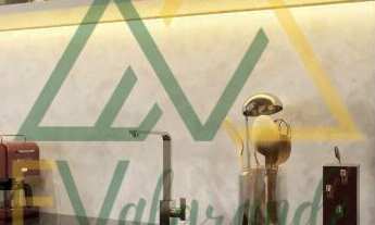 Imagem 4: LANÇAMENTO LINDÓIA - ECOA SPE