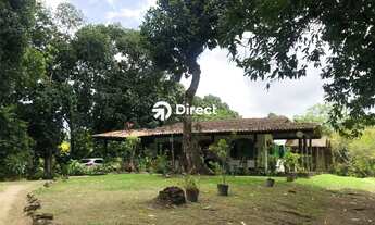 Imagem: Chácara em Borralho, Camaragibe/PE