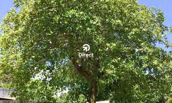 Imagem 7: Casa para alugar no bairro Itapuama - Cabo de Santo Agostinho/PE