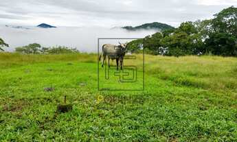 Imagem 5: SÍTIO - VILA ITOUPAVA - BLUMENAU