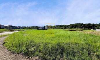 Imagem 4: Terreno amplo a poucos minutos do centro de Timbó