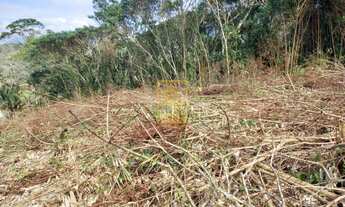 Imagem 3: Terreno no bairro Pomeranos