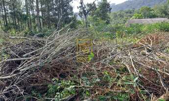 Imagem 5: Terreno no bairro Pomeranos