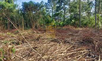 Imagem 6: Terreno no bairro Pomeranos