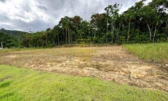 Imagem 7: Lote com 312,50m² em região tranquila e bem localizada