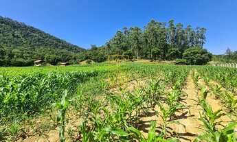 Imagem 7: Sítio encantador a poucos minutos do centro de Timbó