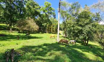 Imagem 3: Sítio encantador a poucos minutos do centro de Timbó