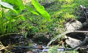 Imagem 5: Sítio encantador a poucos minutos do centro de Timbó