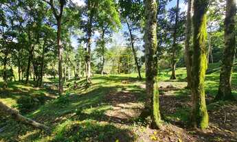 Imagem 2: Sítio encantador a poucos minutos do centro de Timbó