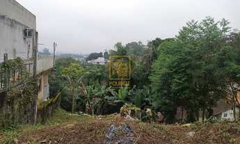 Imagem 3: Terreno no bairro dos Estados em Timbó