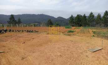 Imagem 4: Invista no Seu Refúgio: Terreno de 2.000m² em Alto Cedros com Rancho e Proximidade à Barra