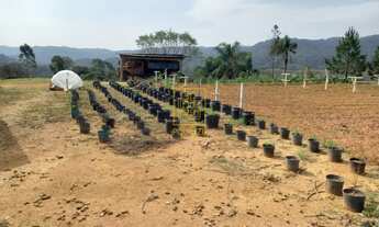 Imagem 5: Invista no Seu Refúgio: Terreno de 2.000m² em Alto Cedros com Rancho e Proximidade à Barra