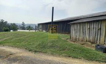 Imagem 3: Invista no Seu Refúgio: Terreno de 2.000m² em Alto Cedros com Rancho e Proximidade à Barra